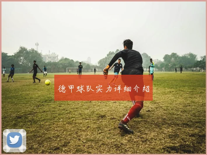 德甲球队实力详细介绍