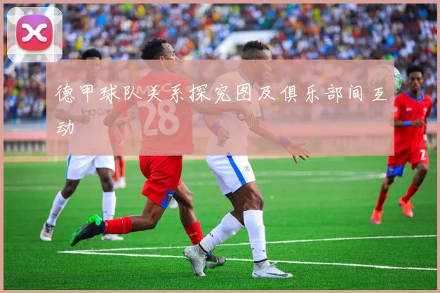 德甲球队关系探究图及俱乐部间互动