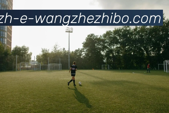 王者体育服务体系