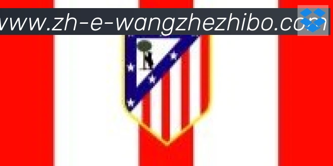 王者体育合作伙伴